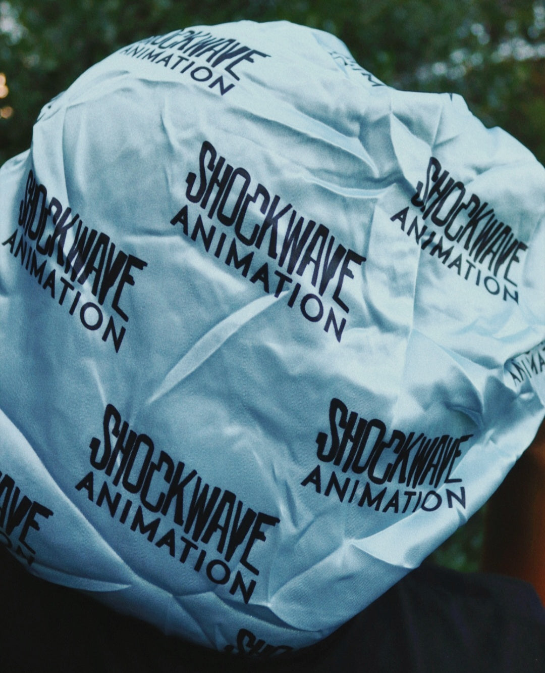 Reversible Shockwave Animation Logo Bonnet