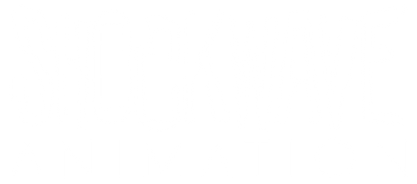 Shockwave Animation Store